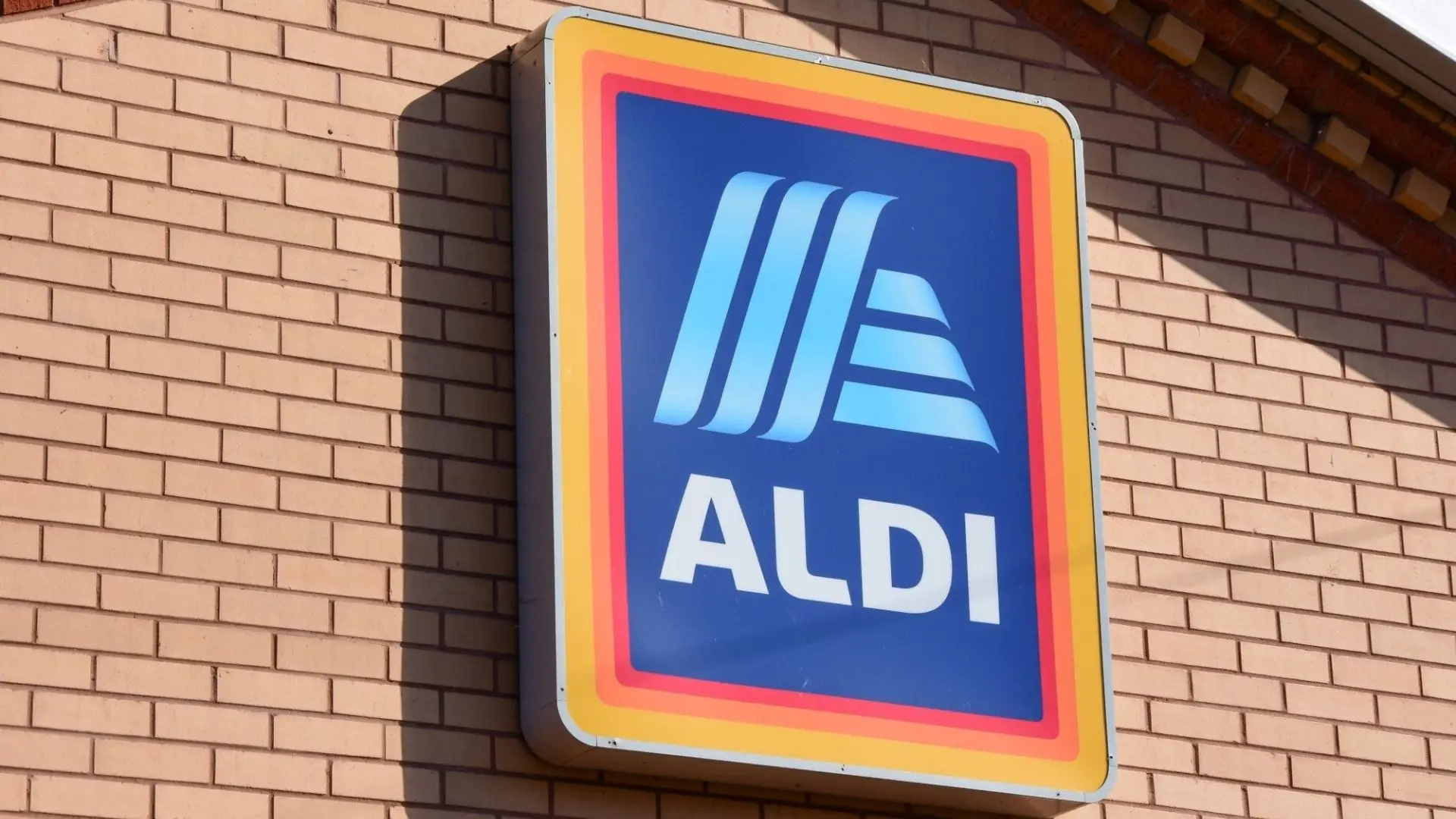 Aldi anuncia porta contra insetos por €49,99 a partir de 18/6; Amazon oferece versão magnética por €17,99