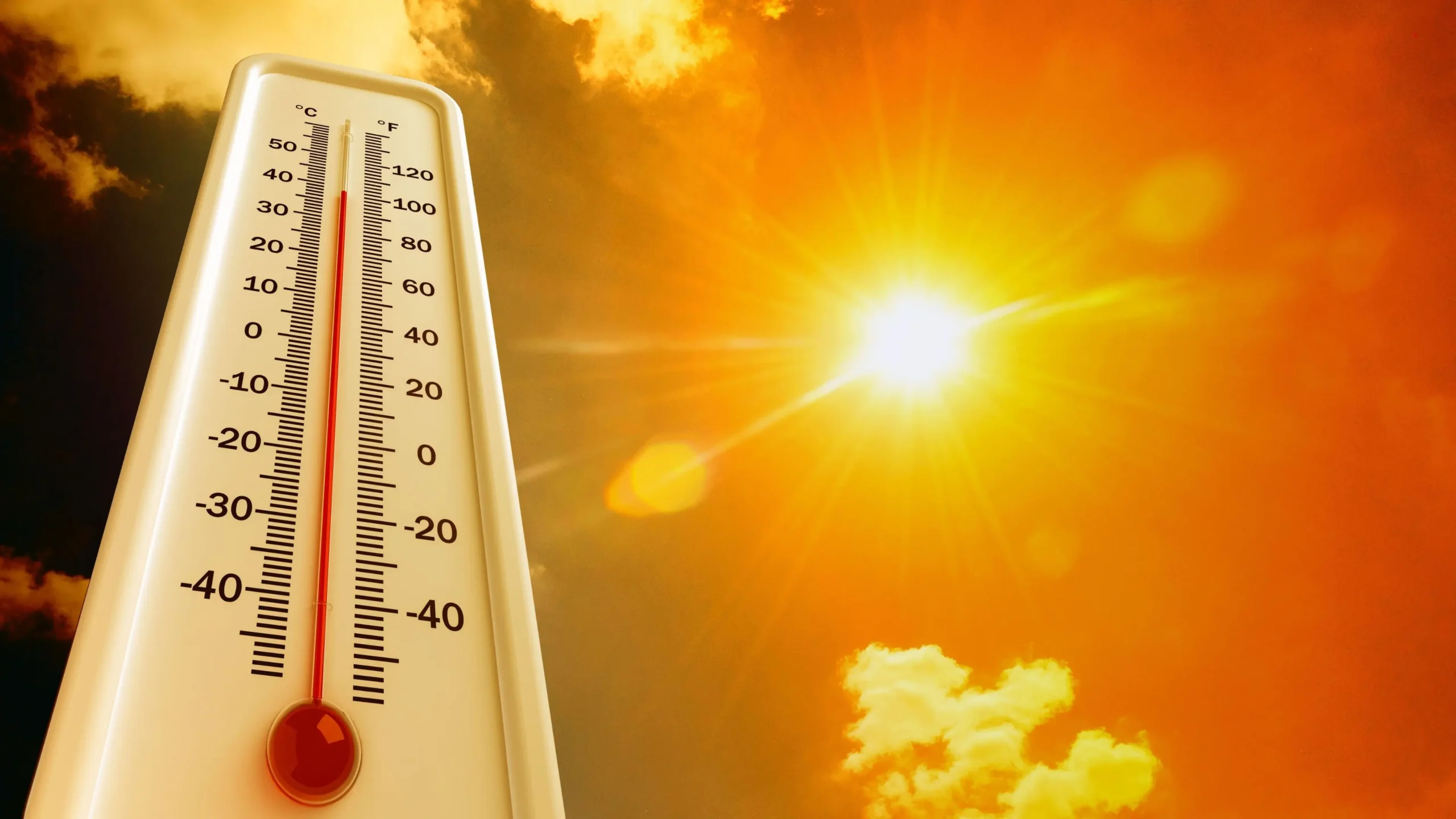 5 dicas para suportar o calor intenso mesmo morando no último andar